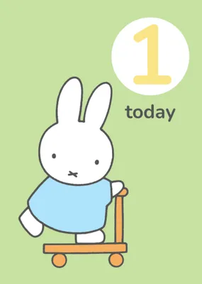 Miffy Two Today Birthday Card