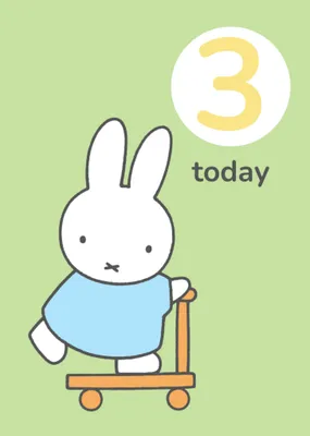 Miffy Two Today Birthday Card