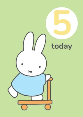 Miffy Two Today Birthday Card