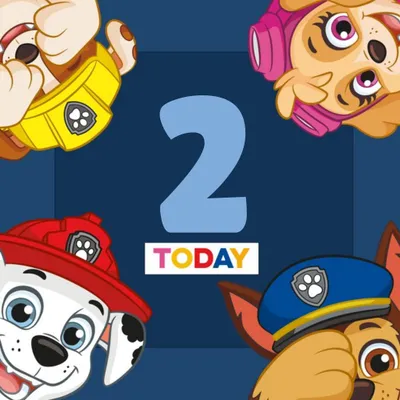 Paw Patrol 3 Today Birthday Card