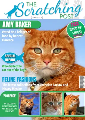 The Scratching Post Cat Magazine Spoof Personalised Photo Upload Happy Birthday Card