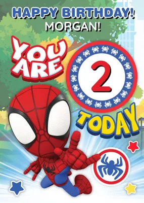 Spidey and Amazing Friends Age Birthday Card