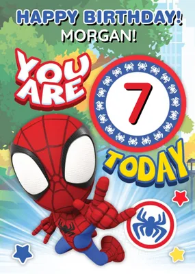 Spidey and Amazing Friends Age Birthday Card