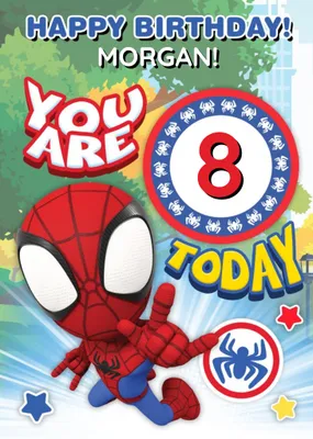 Spidey and Amazing Friends Age Birthday Card