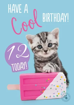 Studio Pets Cute Kitten Ice Lolly Cool Birthday Card