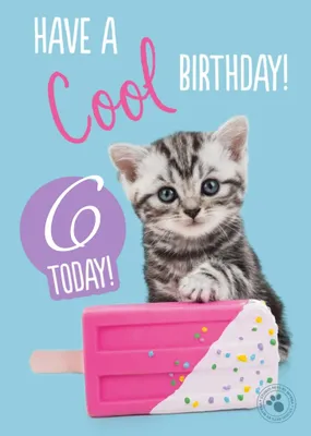Studio Pets Cute Kitten Ice Lolly Cool Birthday Card