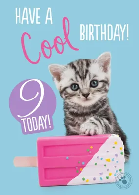 Studio Pets Cute Kitten Ice Lolly Cool Birthday Card